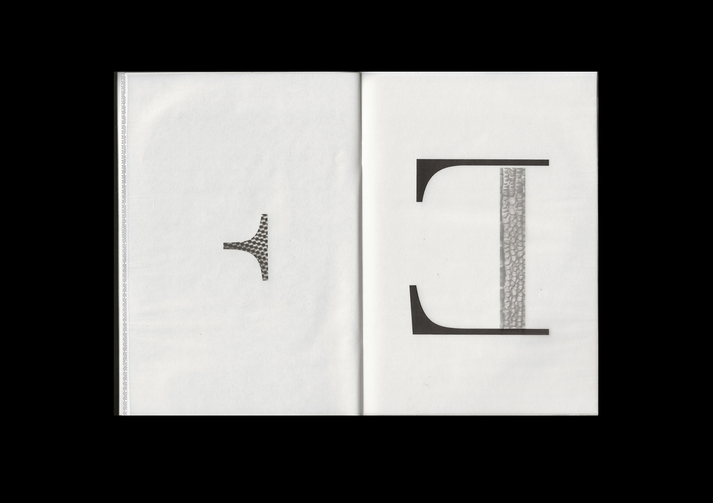 type bodoni editorial paper book design graphic graphicdesign typography  