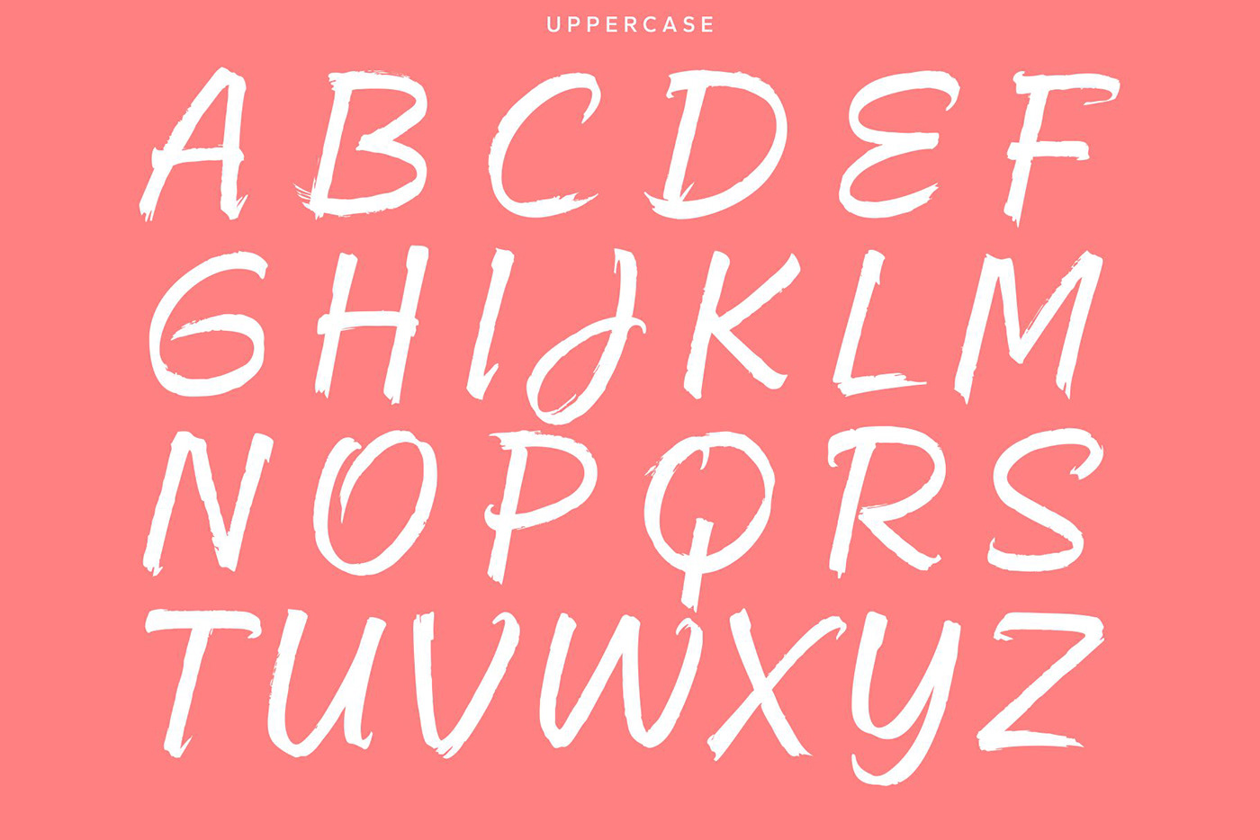 brushpen Calligraphy   fonts freefont Handlettering lettering Logotype type Typeface typography  
