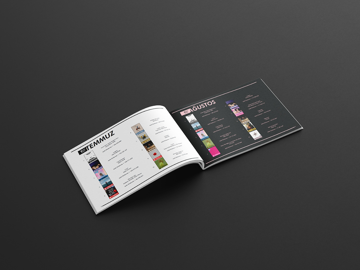 graphic design  editorial design  magazine book