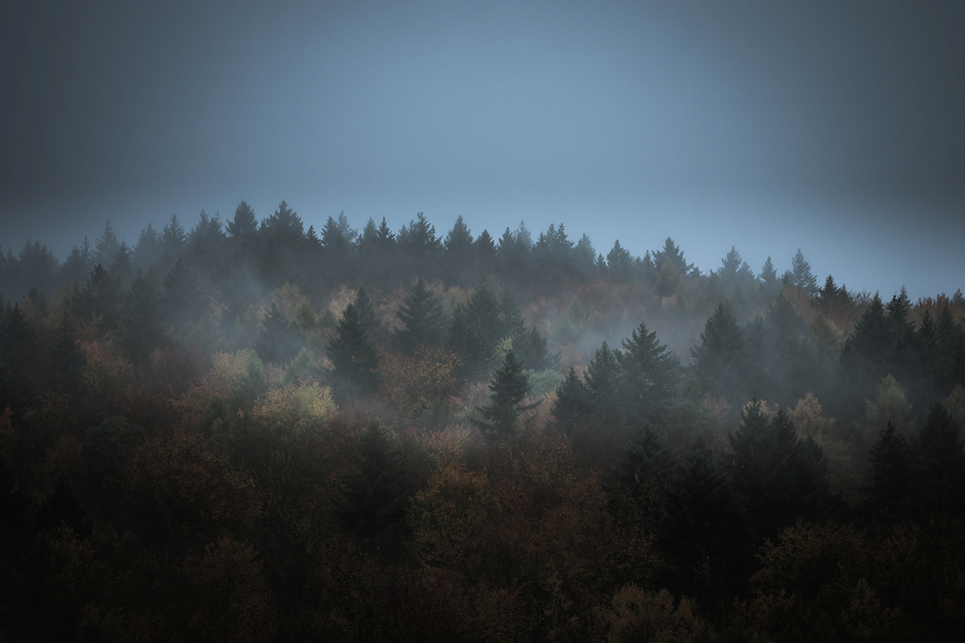 view upon a forest in dense fog and grey clouds