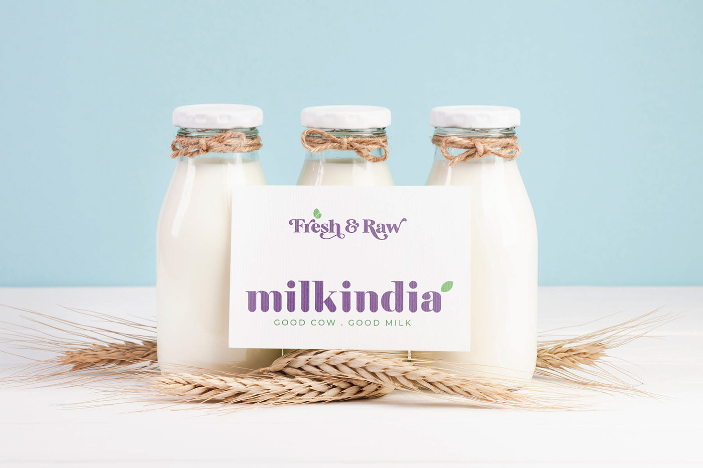 Dairy Branding dairy packaging identity desing milk branding Milk India Milk logo design milk packaging packaging design yoghurt branding Yoghurt Packaging