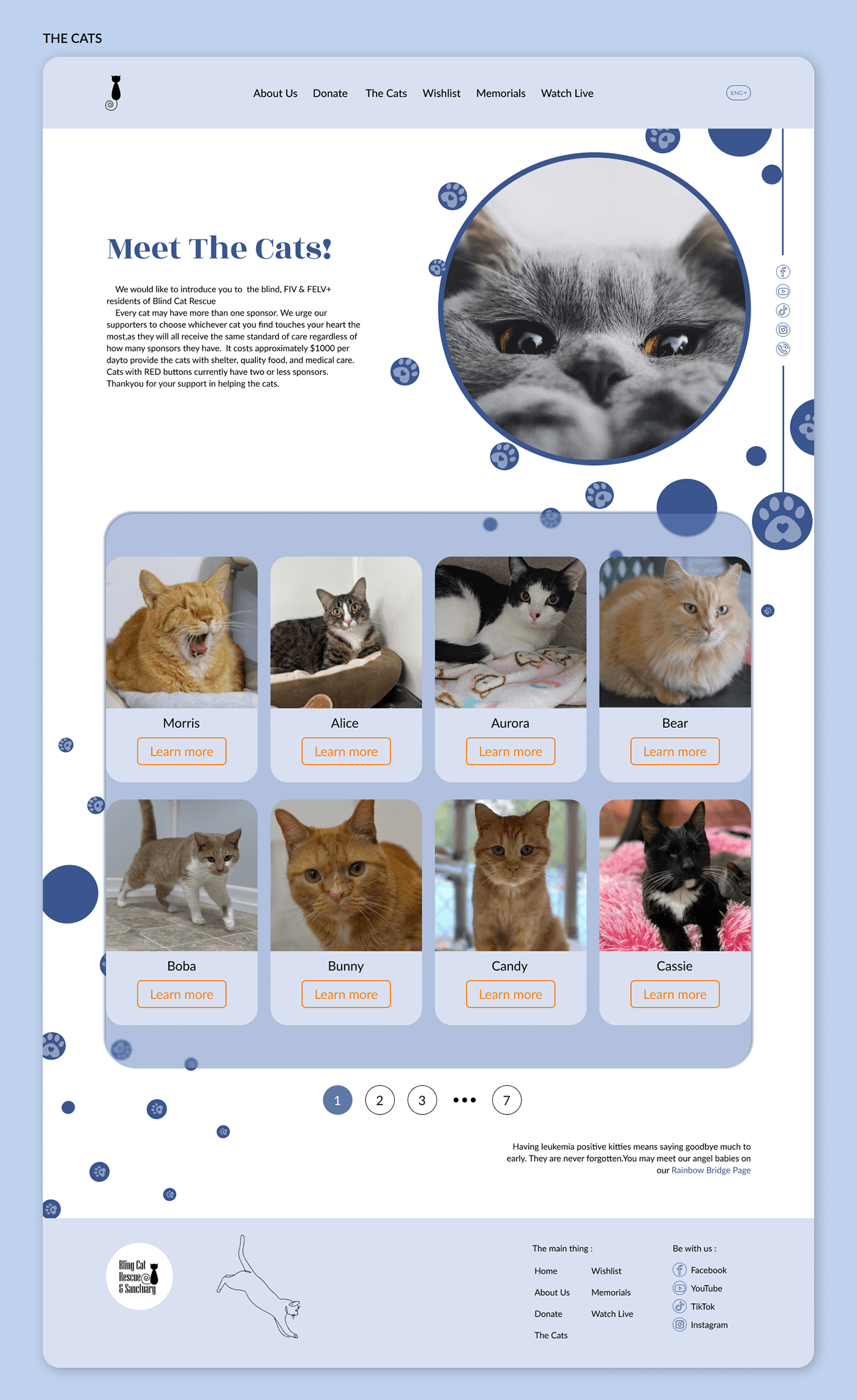 редизайн сайта тварини сайт веб-дизайн Figma UI/UX design котики Cat притулок для котів