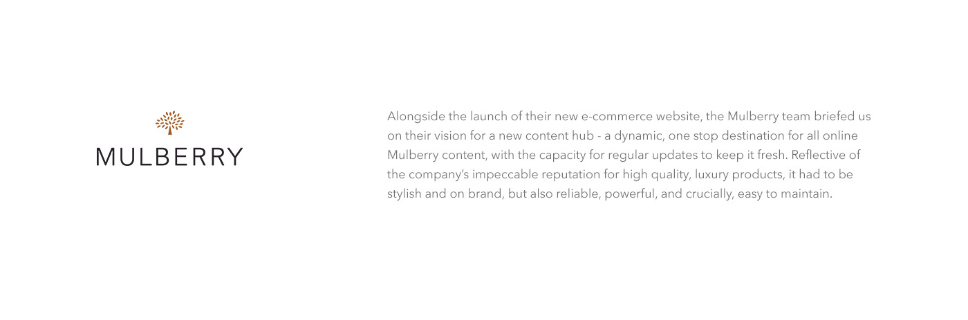 mulberry Luxury Fashion luxury