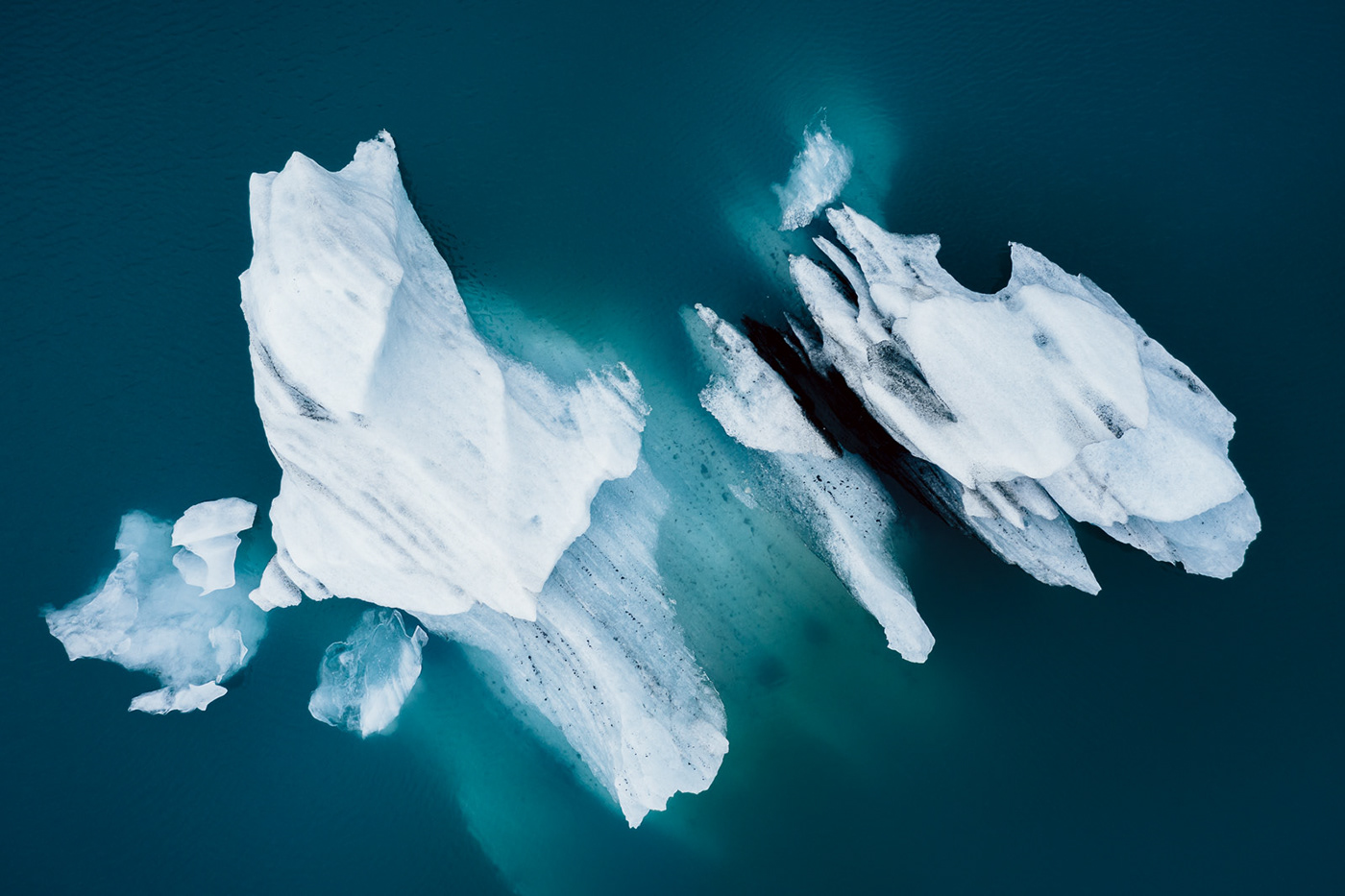 abstract animal Arctic ice iceberg lake Landscape water wildlife winter