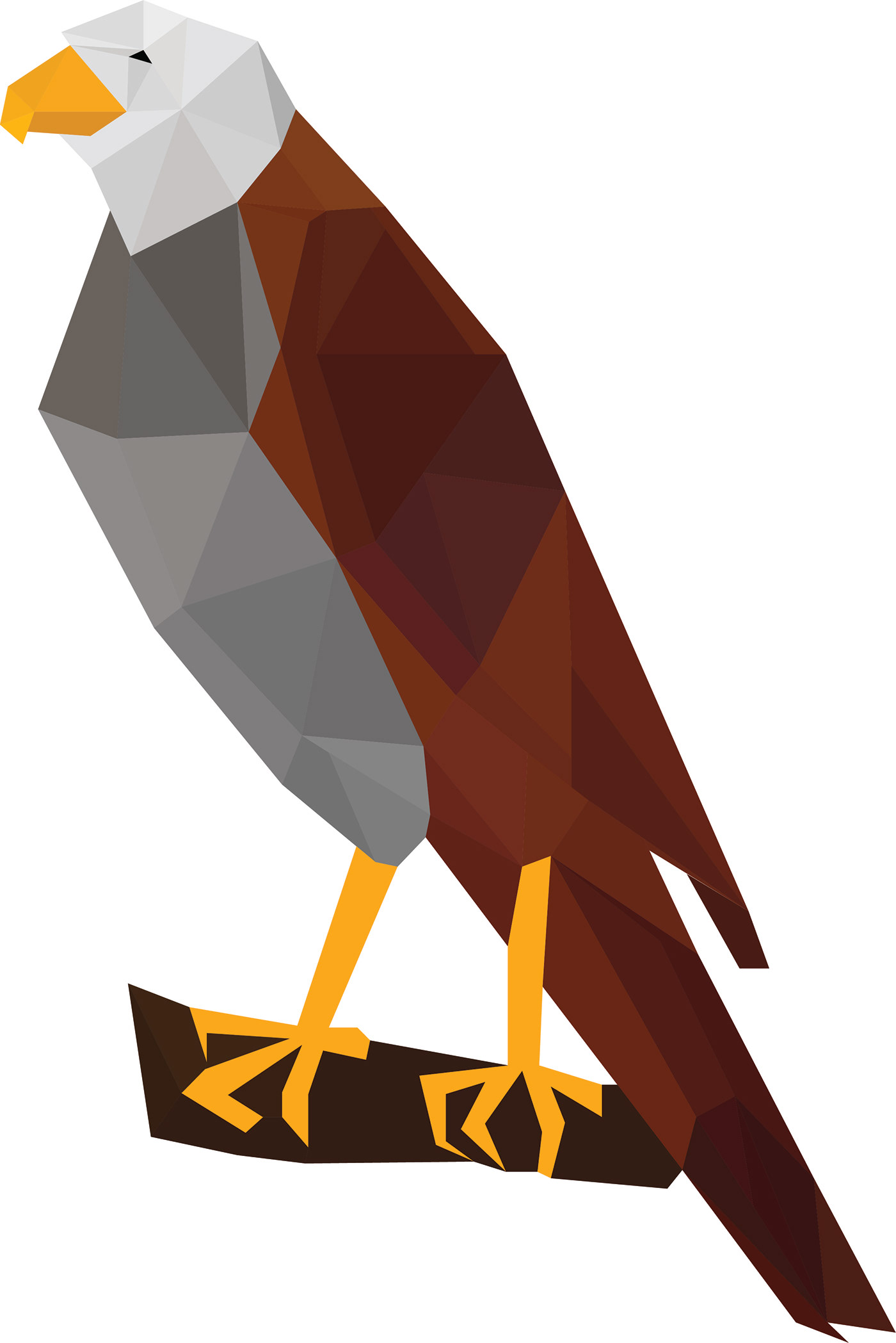 bird bird design illustrator design polygonal drawing