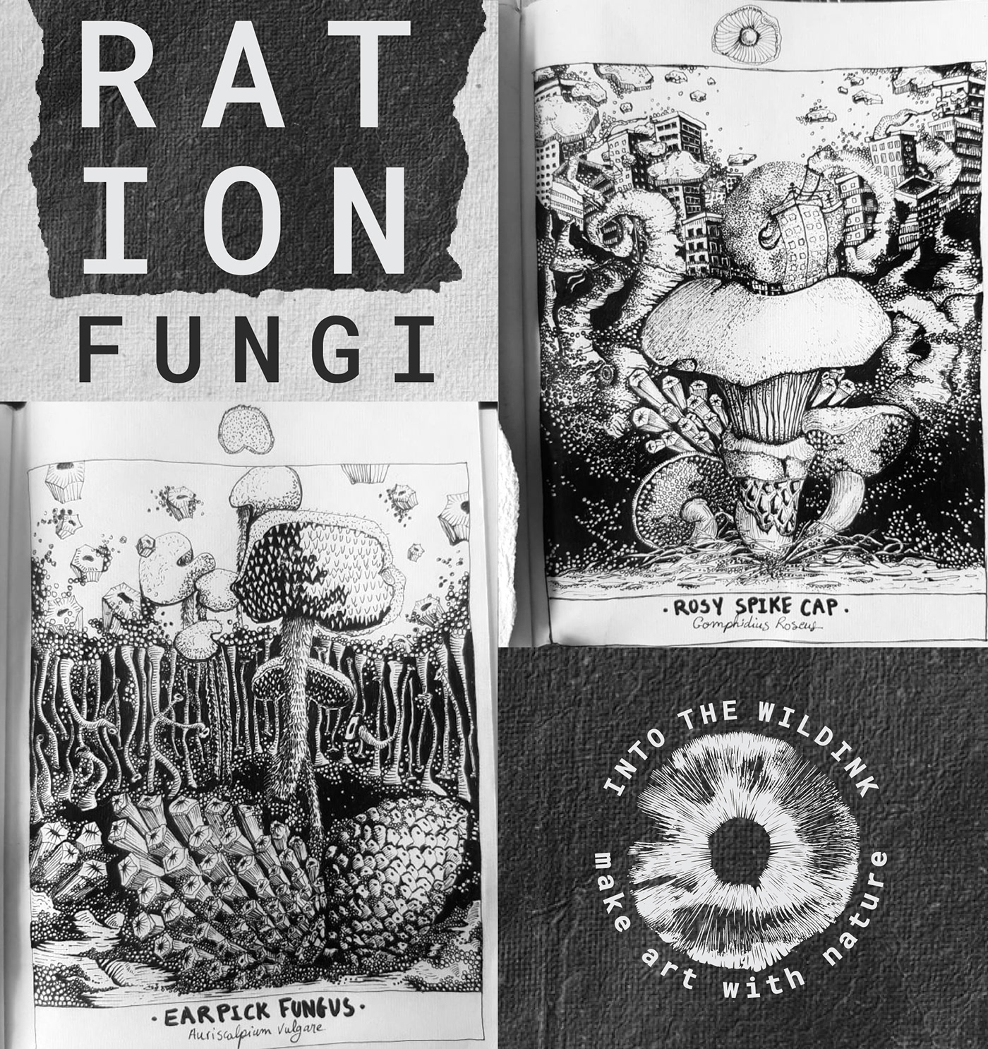 art branding  Fungi ILLUSTRATION  logodesign mushroom Nature Patterns personalproject