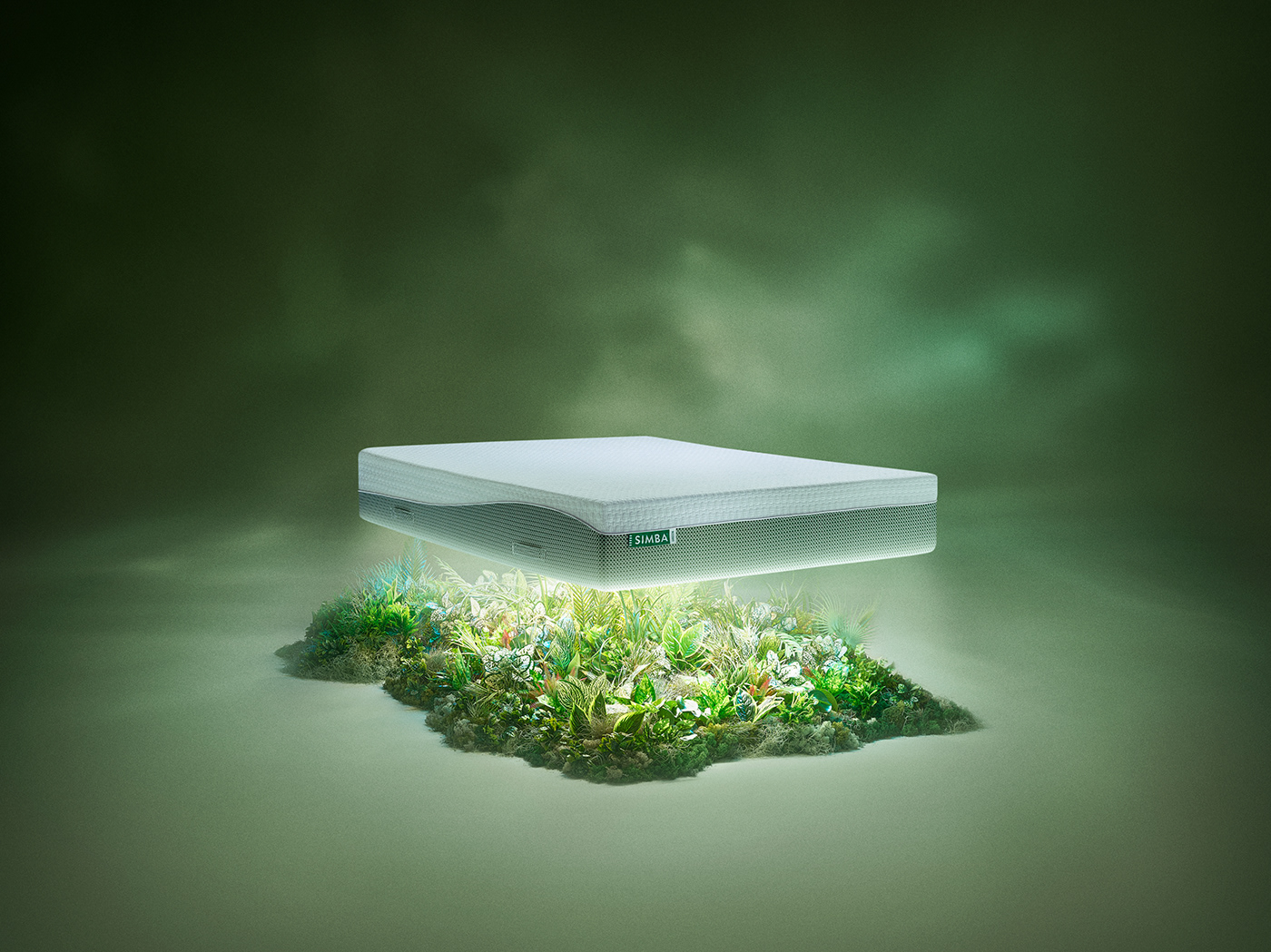 earth eco ecofriendly environment mattress Photography  photoshoot planet plants Technology