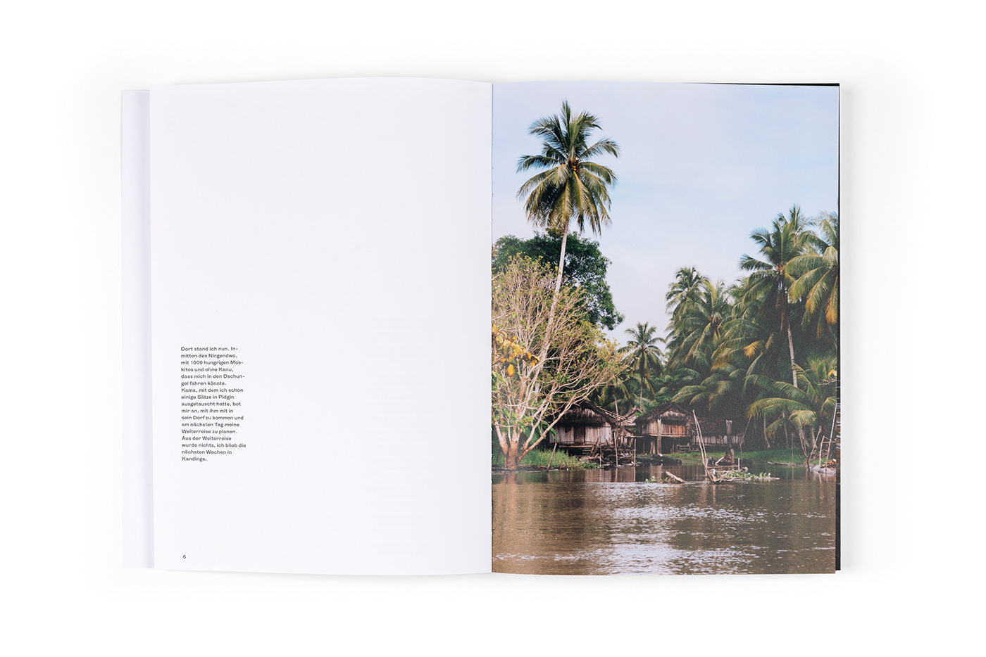 graphic design editorial Layout Photography  book brochure swiss