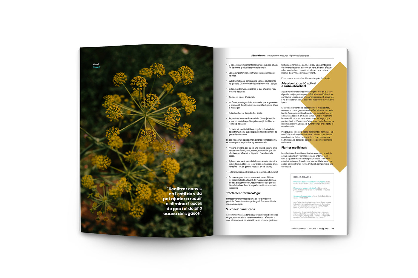 editorial design  graphic design  magazine redesign somozabrands spain