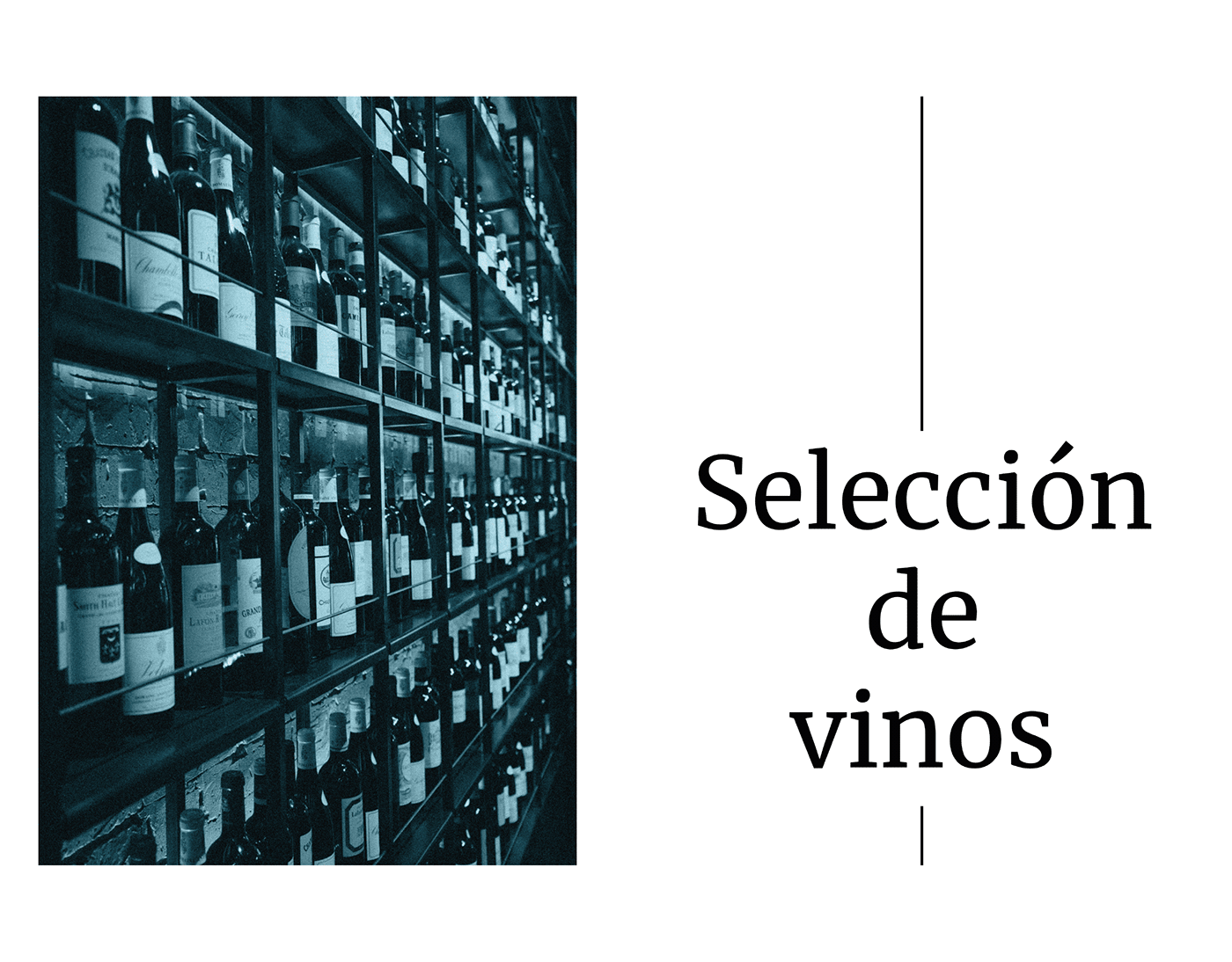 Segunda parte del Manual de referencia vinícola. Selección de bodegas y vinos que están a la venta. 