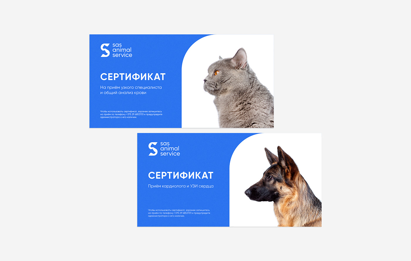 Certificates veterinary center 