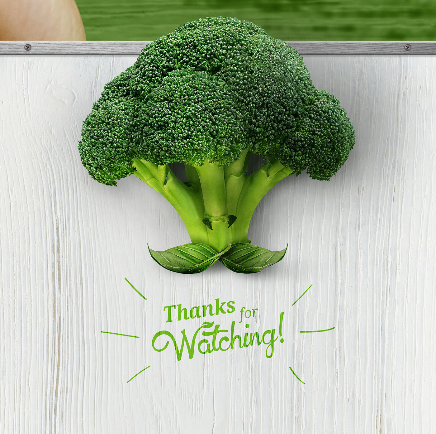 visual identity broccoli veggan logo Packaging comida saudável healthy food 包装设计 沙拉 食品设计
