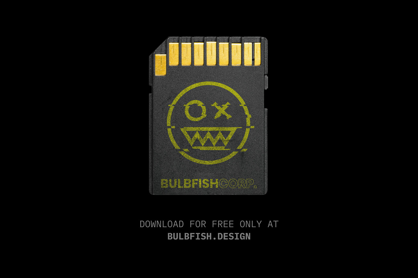 free freebie Mockup sdcard Memory Flash brutal black bulbfish template