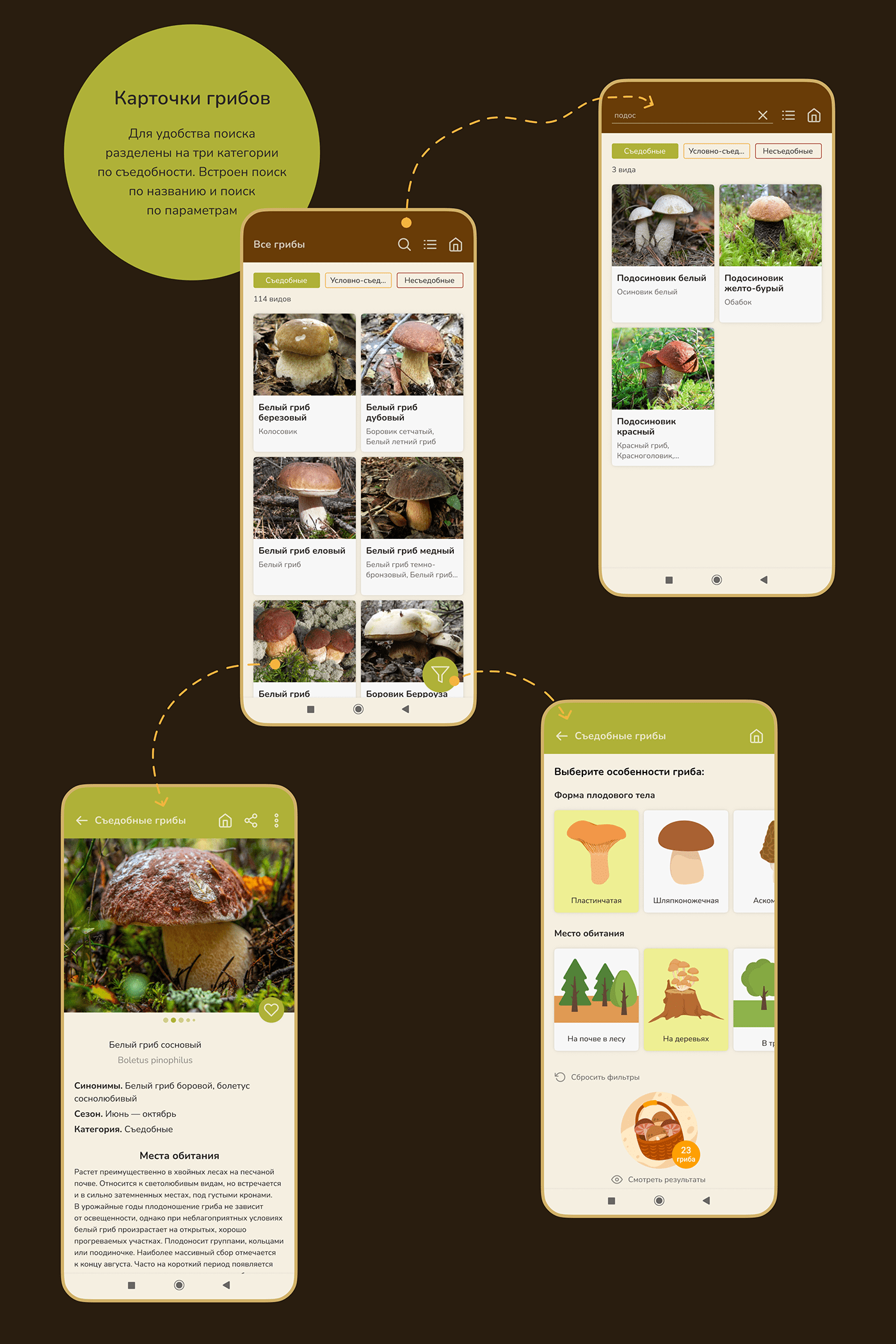 application Mobile app Mushroom Guide Mushrooms Nature ux/ui грибы мобильное приложение