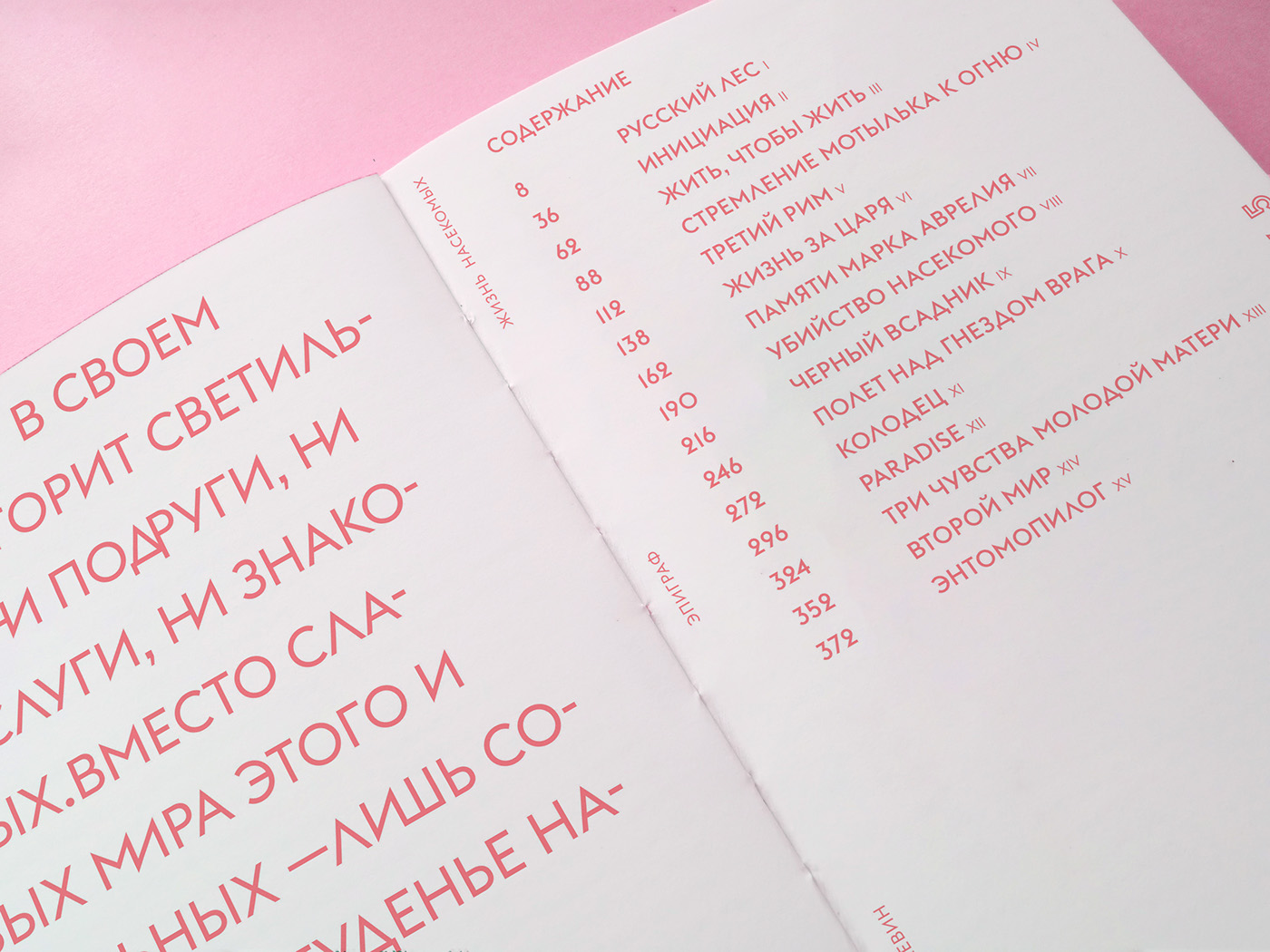 book design editorial pink pelevin print screen screenprint Zine 