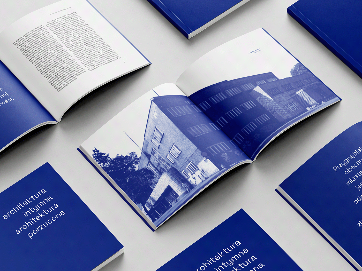 book design brochure design editorial design  InDesign Layout print publication typography  