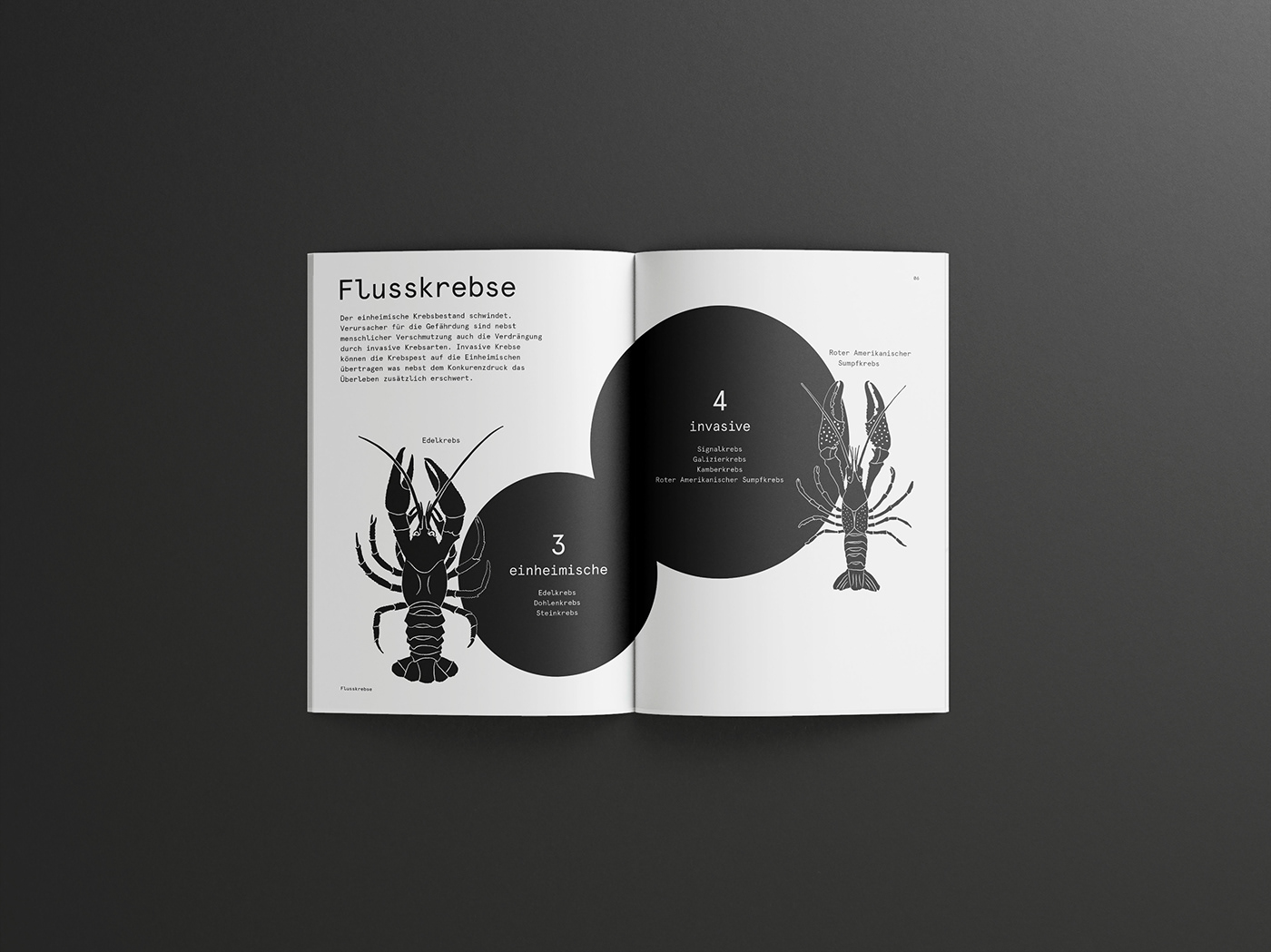 editorial fisch fish graphic design  ILLUSTRATION  infographic print Switzerland