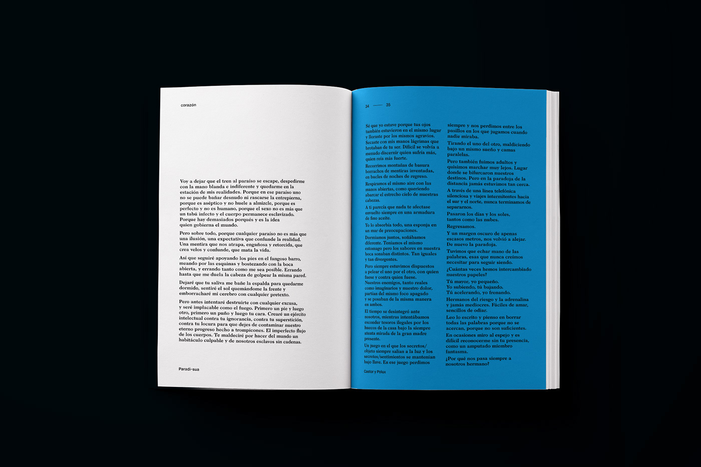 editorial editorialdesign edition Lettering. book Bookdesign