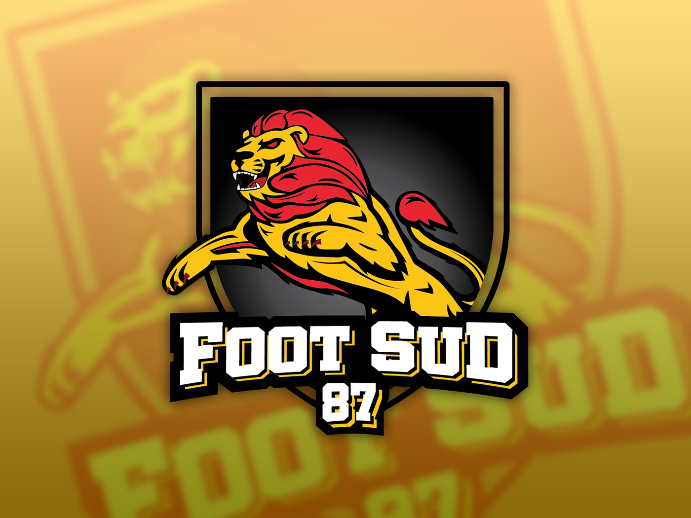 logo foot foot sud 87 embleme ecusson lion pierre buffière identité visuelle football