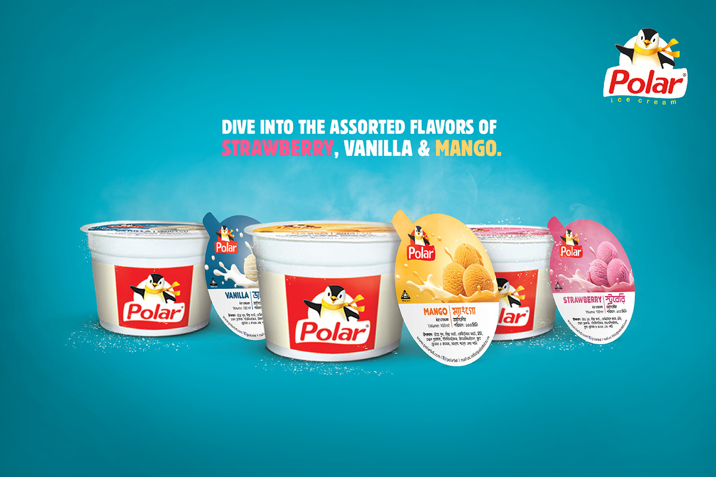 poster idea inspiration ice cream Product Launching brandig Advertising  package polar ice cream ice