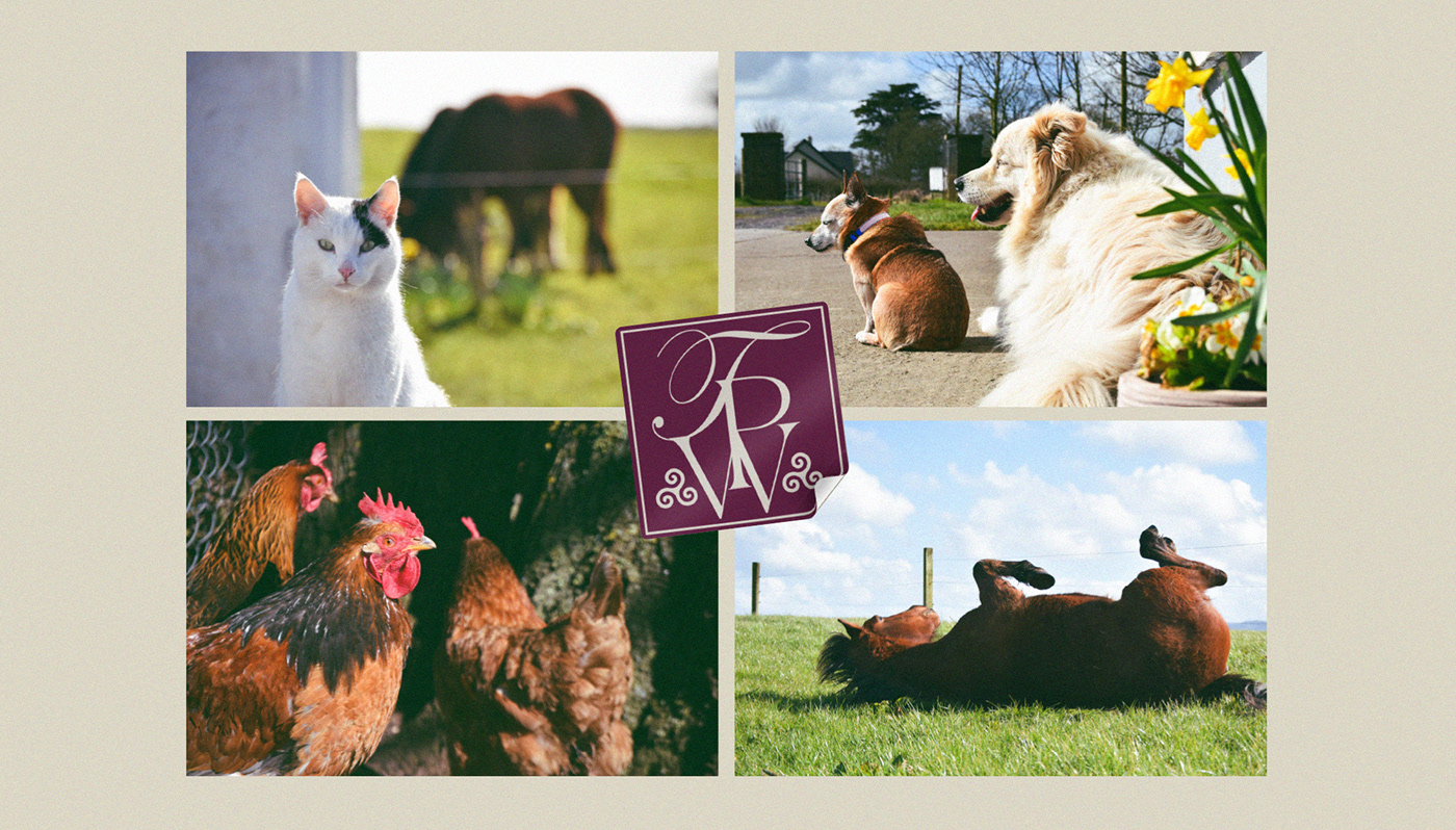 Different pictures of animals in the farm and a monogram logo sticker in the middle of them