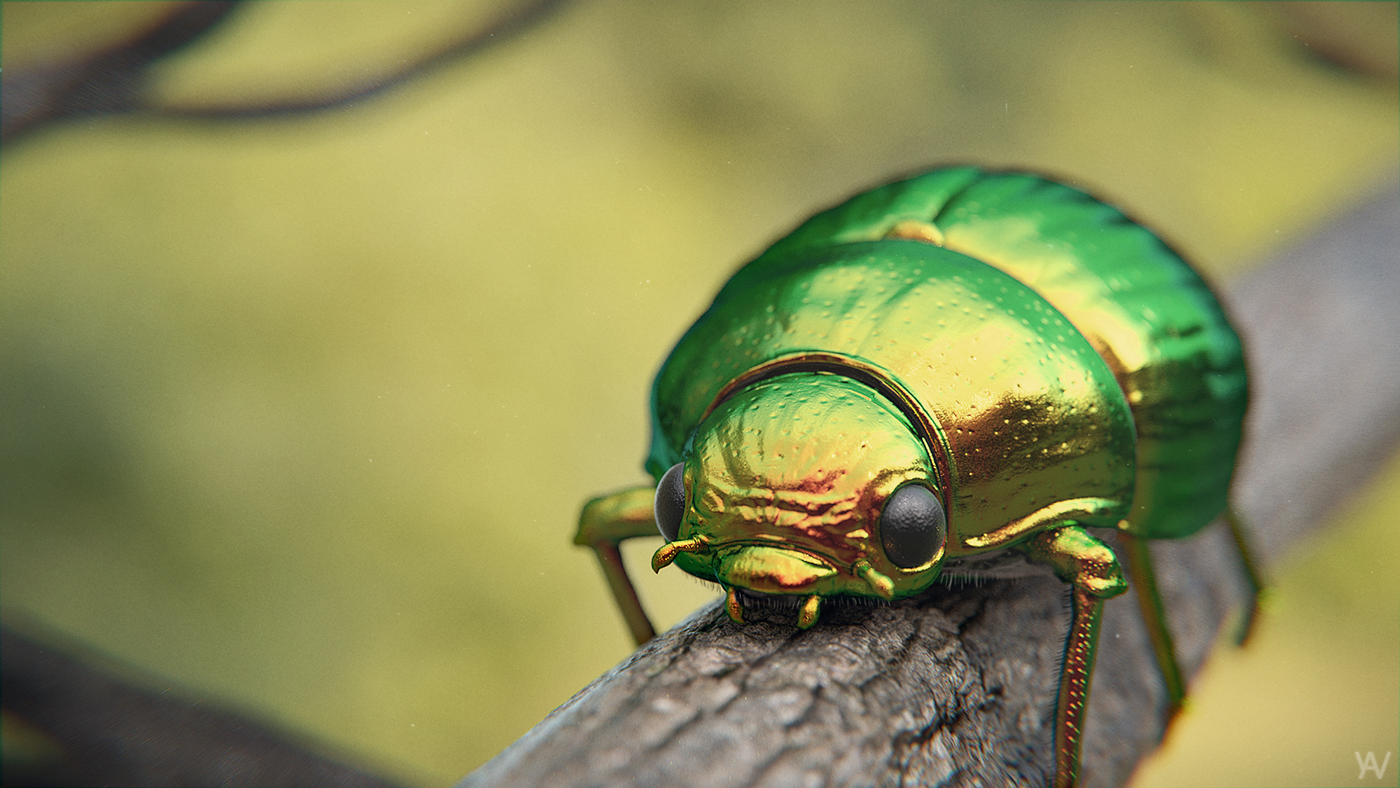 beetle 3D modeling Render cycles Nature