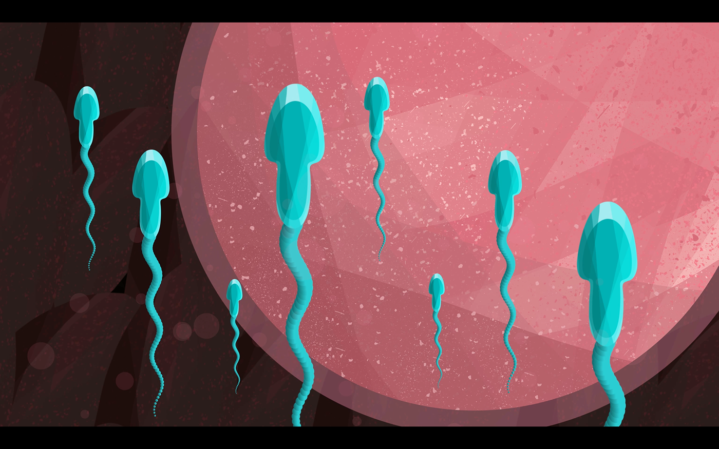 fertilization life Vida animation 