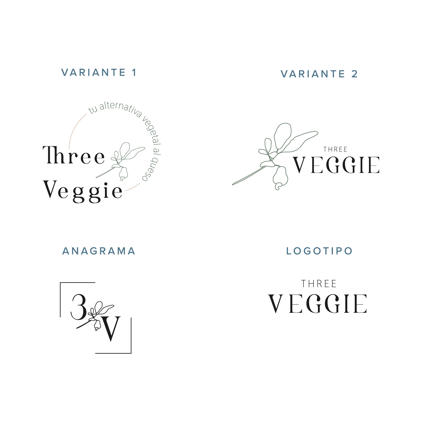 branding  branding alimentacion branding consciente Branding Sostenible marca queso Packaging Producción Gráfica queso vegano