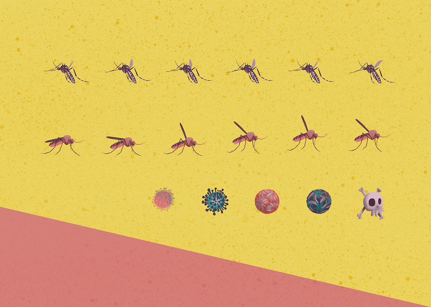 mosquito information visual design video short scientific 2D Animation motion design