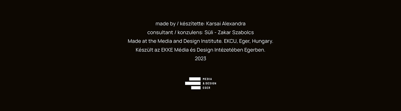 Zine  Zine Design typography   typography design magazine cover type design experimental editorial Layout