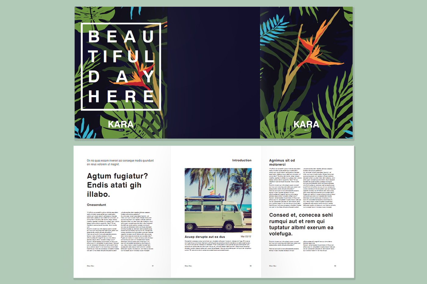 Tropical Branding (InDesign) FREE