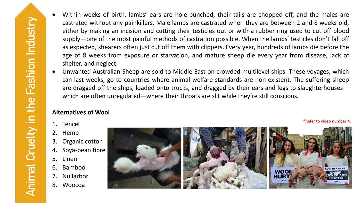 animal cruelty PETA Fashion