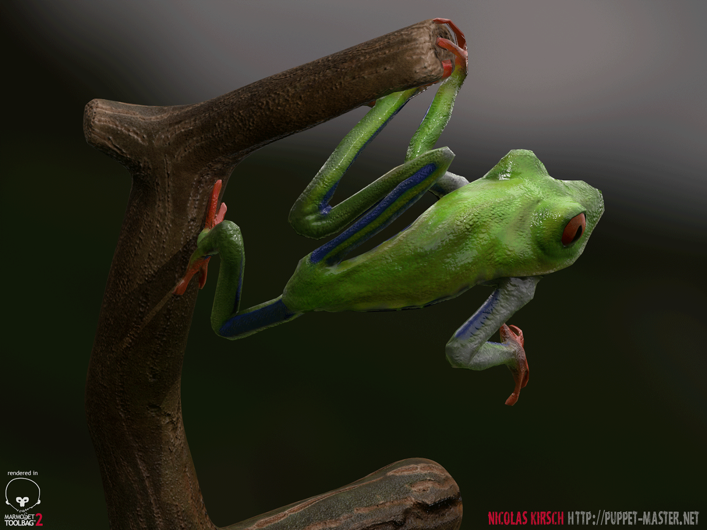 Adobe Portfolio creatures 3D tree frog Game Art