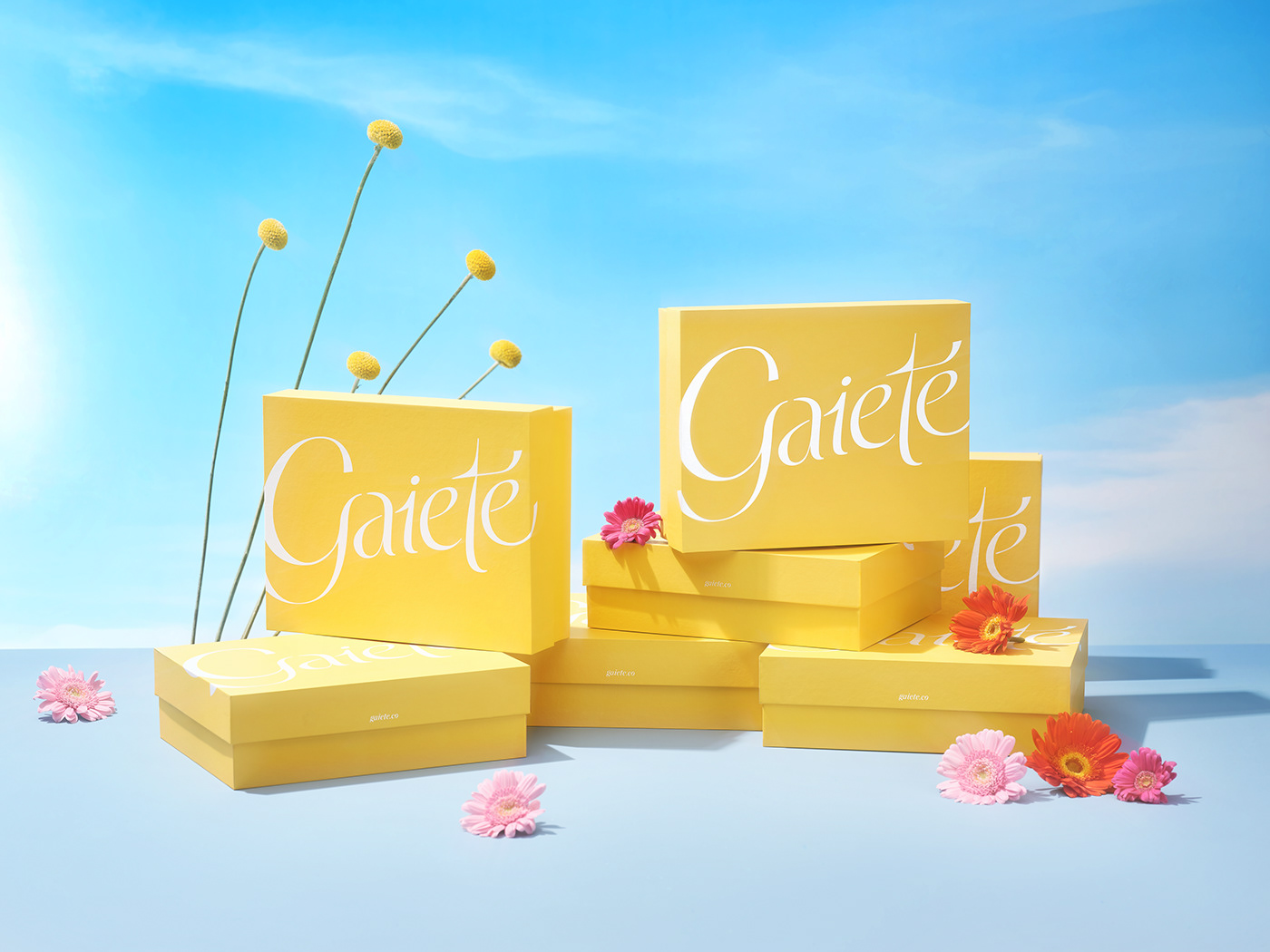 Gaiete by M — N Associates