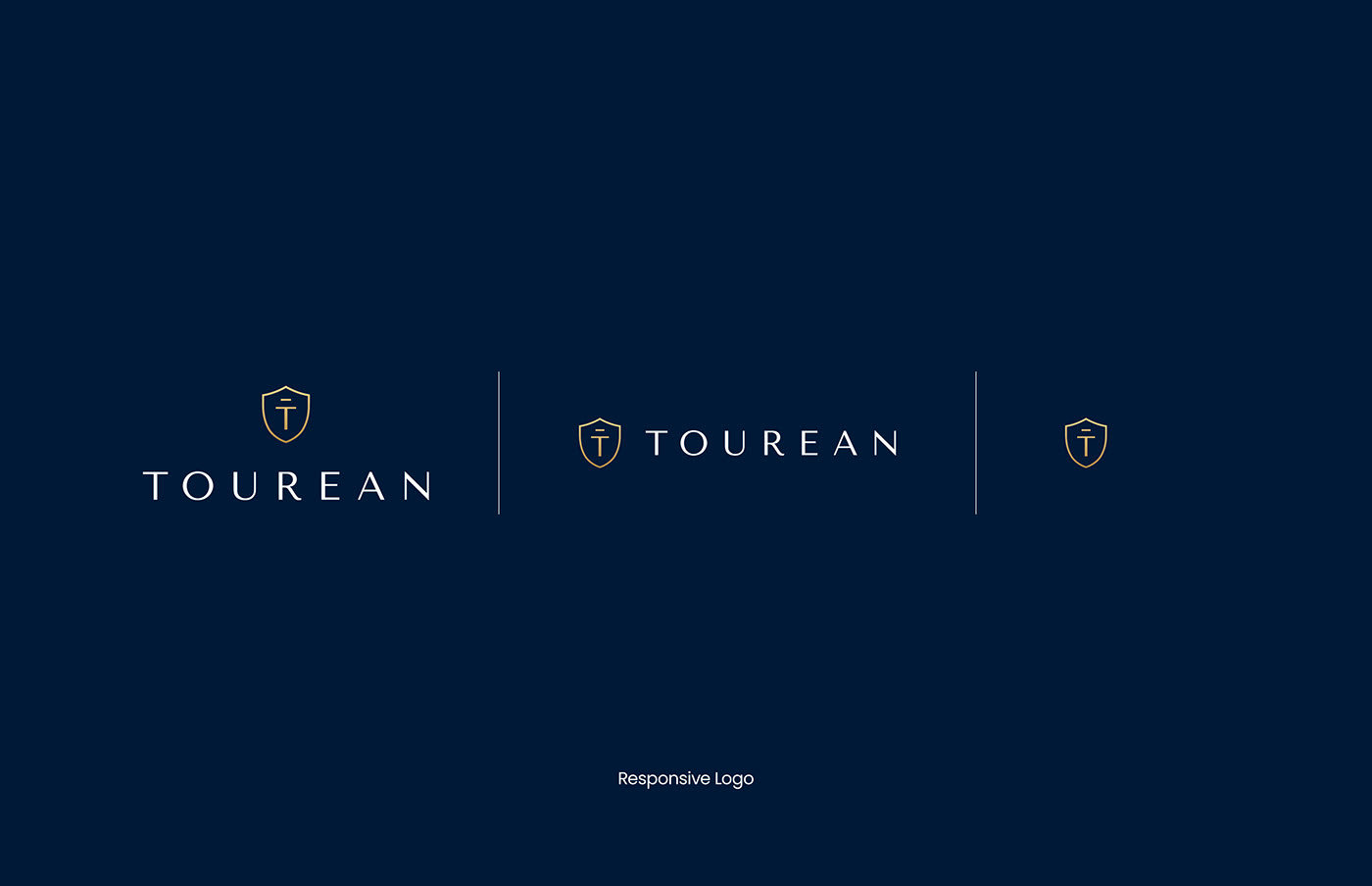 Brand Design brand identity branding  design identity logo Logo Design Logotype luxury minimal