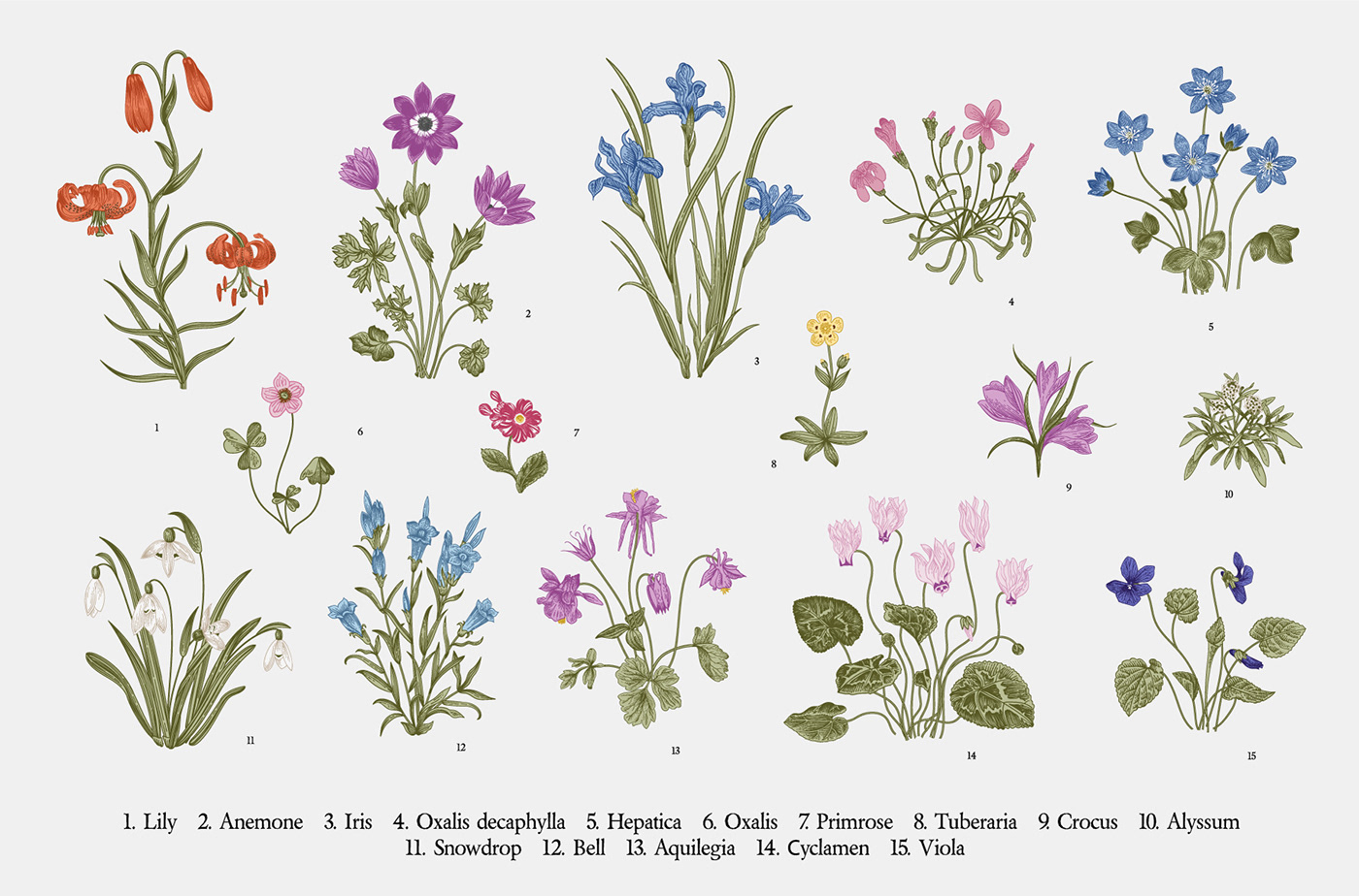 ILLUSTRATION  Easter spring Flowers pattern floral vector clipart vintage mille-fleurs