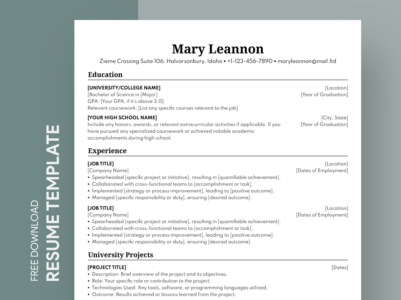 Classic docs google Resume simple template simple resume CV template resume template classic resume