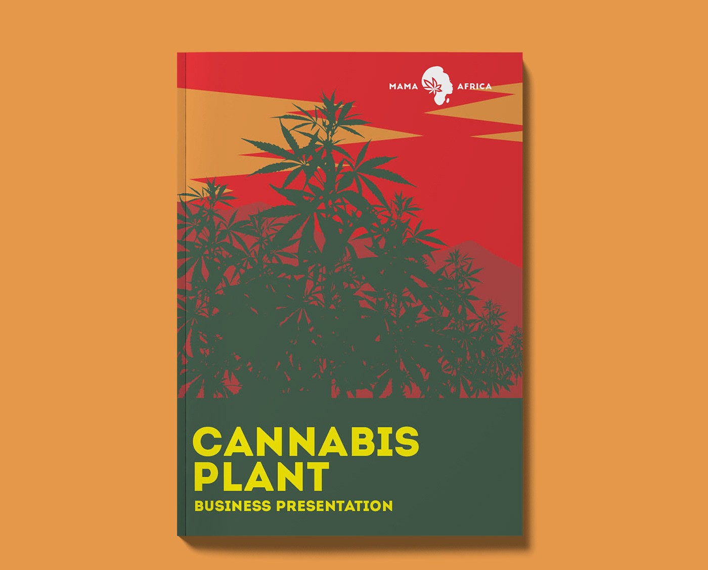 africa Booklet business cannabis infographic marijuana Plant presentation Bud skunk