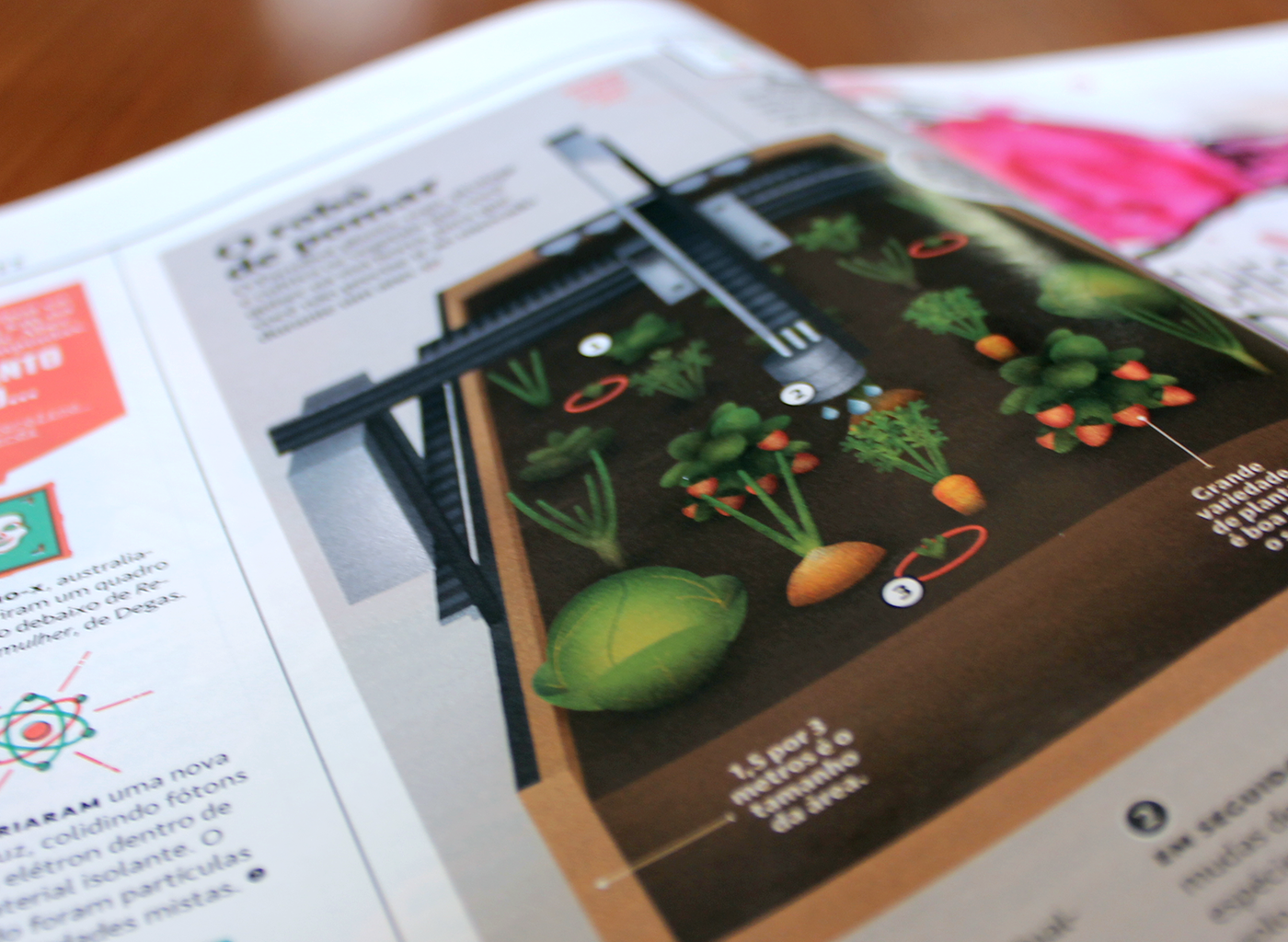 super superinteressante vector grain Fruit Icon infographic illo magazine editorial