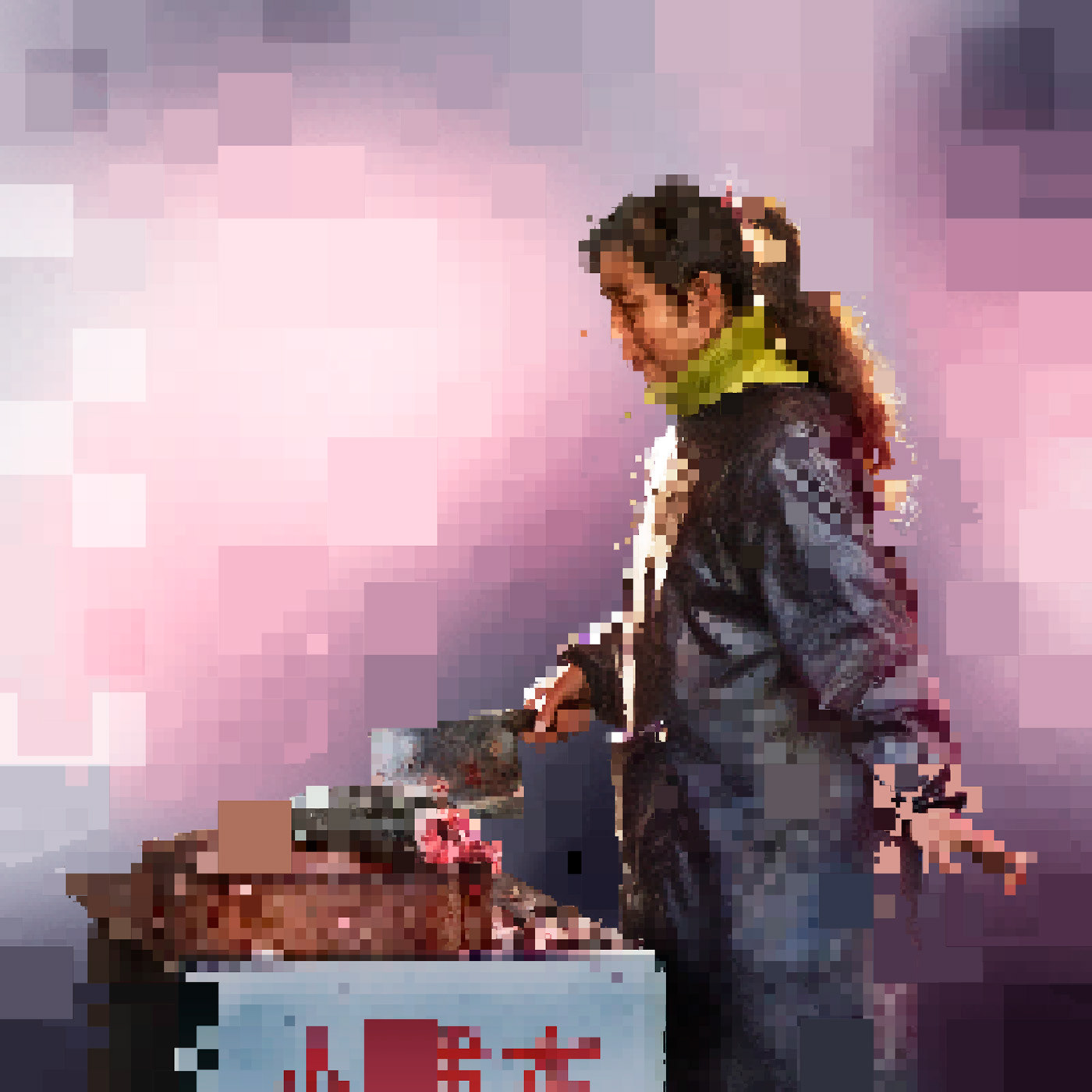 pixel pixelated Glitch Photography  retouching  china shanghai Digital Art  photoshop