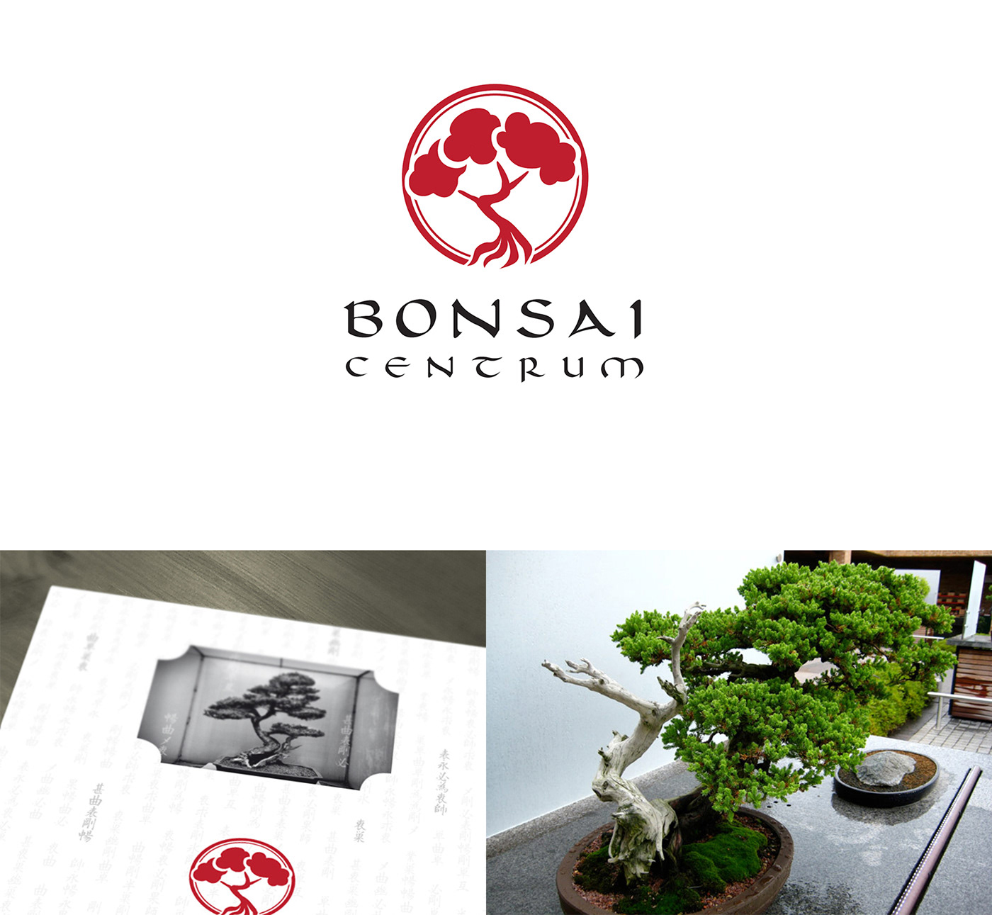 bonsai scisor Tree  water japan kaligraphic