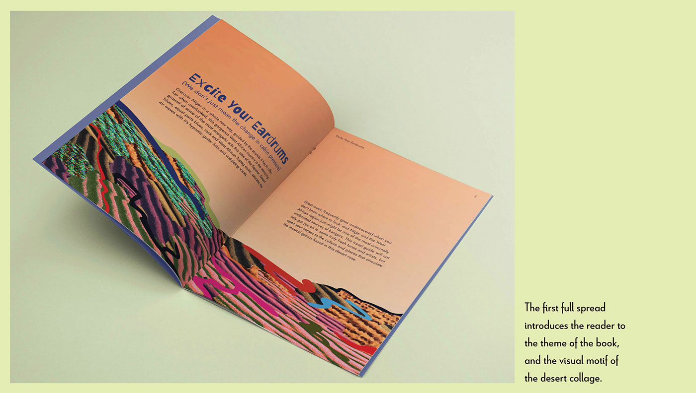 book design brochure collage design editorial design  graphic design  Layout niger print