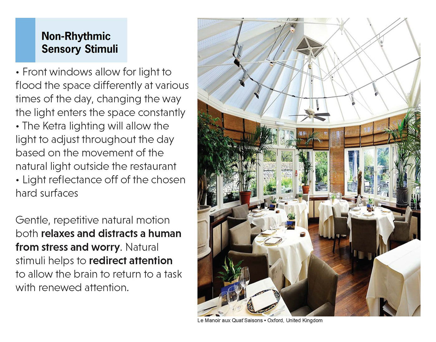 interior design  restaurant design Sustainability Sustainable Design
