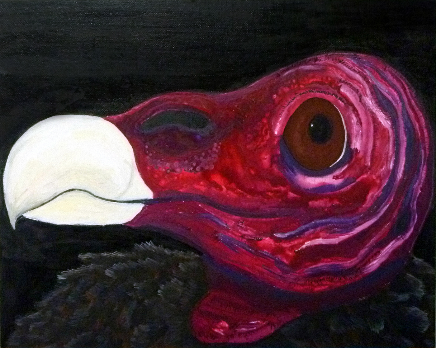 painting   animals bird vulture gouache ink portrait red black