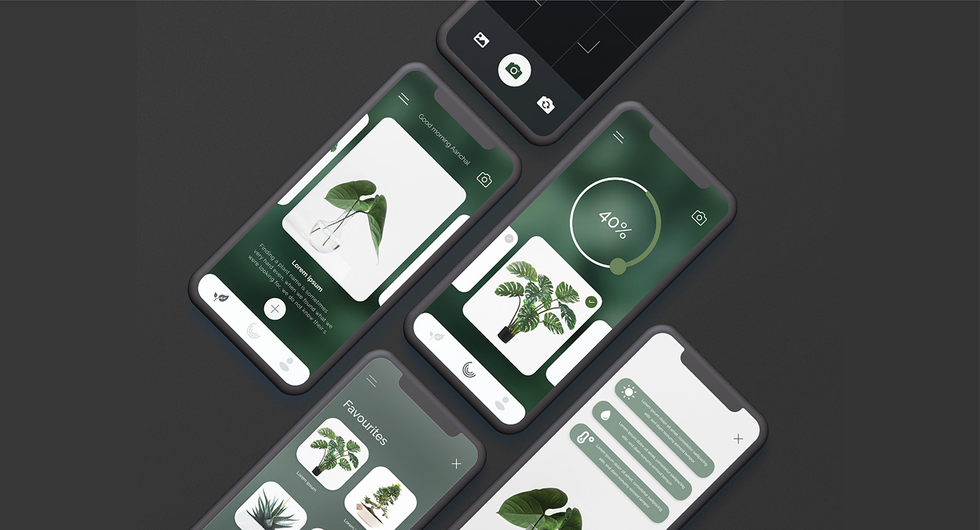 colours discover Interaction design  Layout learn Manage Plant app plants ui ux wireframing