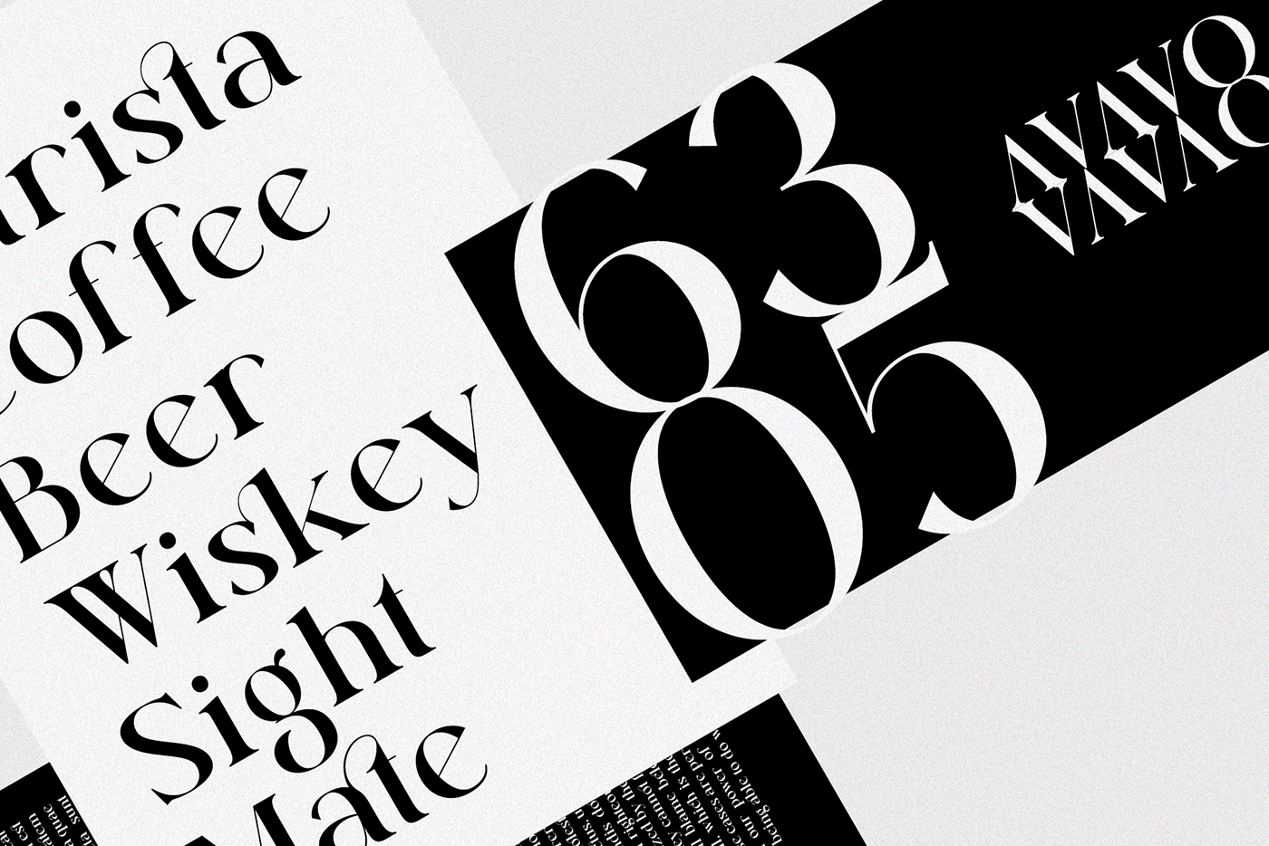 elegant font Free Download Font free font download Luxury Serif Font magnified font modern serif font Serif Font simple font stylish font stylish fonts