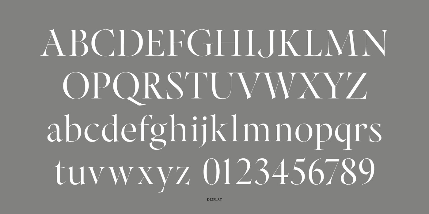 type design font architectural digest broad nib Calligraphy   Display italic roman