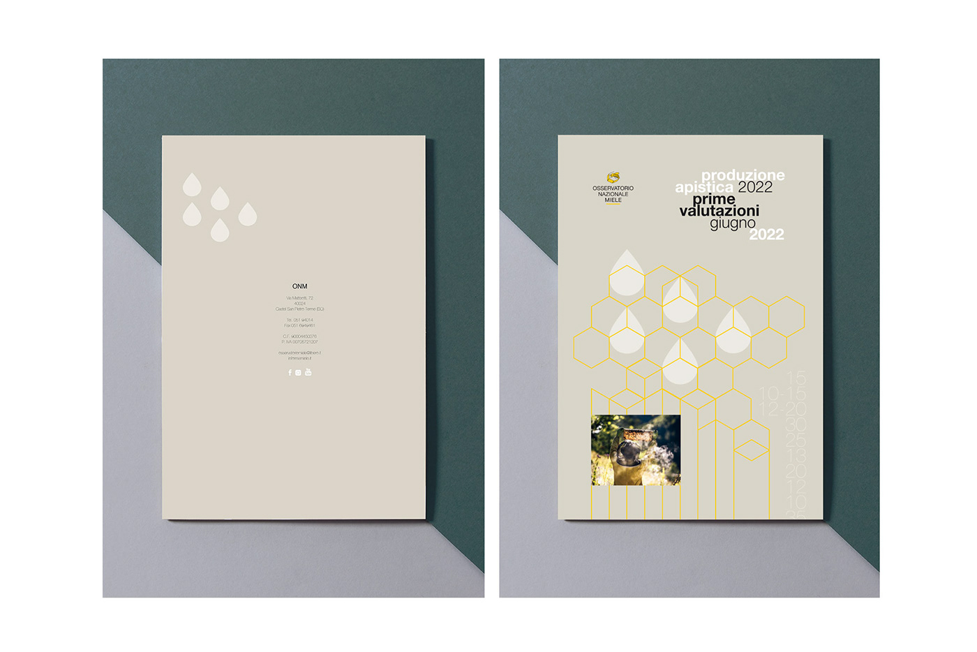 graphic design  brochure book cover design ANNUAL infographic information design annual report collana printed design