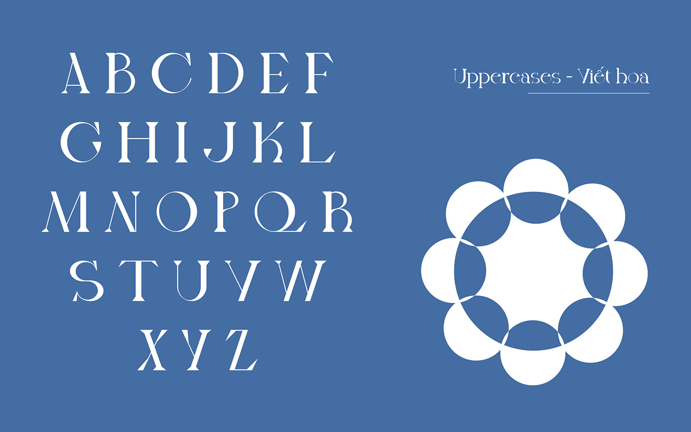 Beautiful Display elegant font graphic design  serif tieng viet type Typeface viet nam