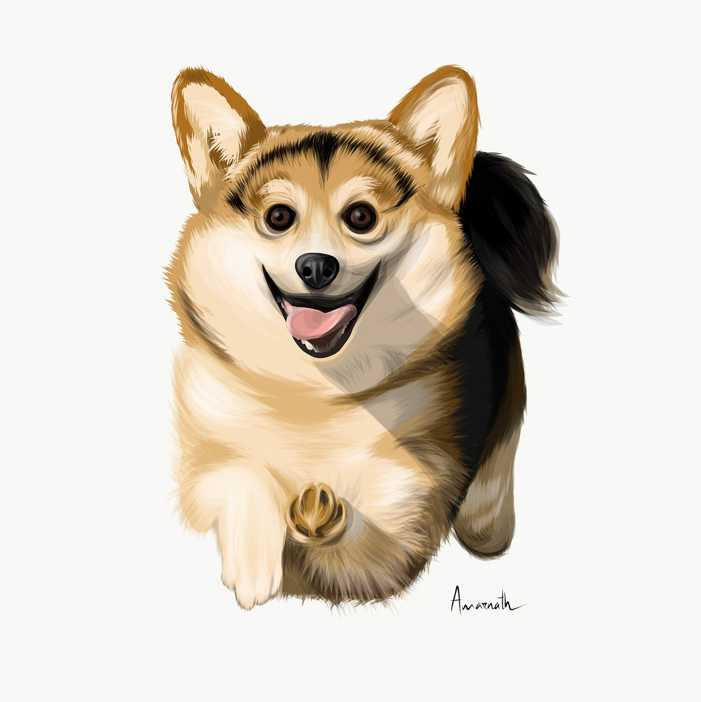 #corgi #dog #dogs #illustration #blending #doggo #illustrator #pets  